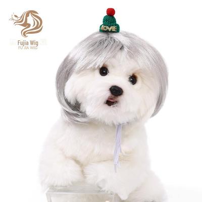 Giyim ve ayakkabı – Köpek için şapkalar
