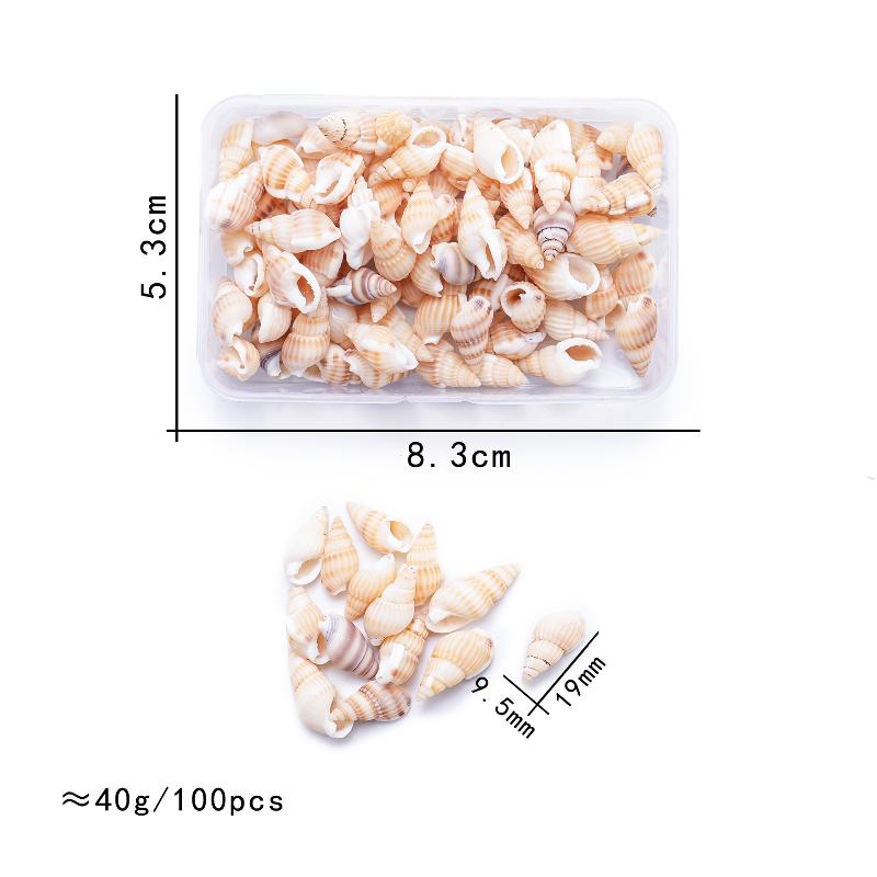 

1 Коробка Морские Ракушки Спиральные Ракушки Крошечные Океанские Спиральные Морские Ракушки Поделки Украшение для Аквариума Ландшафтные Аксессуары Реквизит для Фотографии