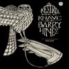 Ein Turmfalke für einen Schurken von Barry Hines Taschenbuch 9780241978962