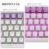 XVX Keycaps, 165-Key Print Keycaps, PBT Transparent Keycaps for Cherry MX Gateron Switch Keyboards, OEM Profile Keycaps (PurpleWhite)