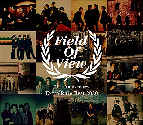 

25th Anniversary BEST ALBUM FIELD OF VIEW 25th Anniversary Extra Rare Best 2020