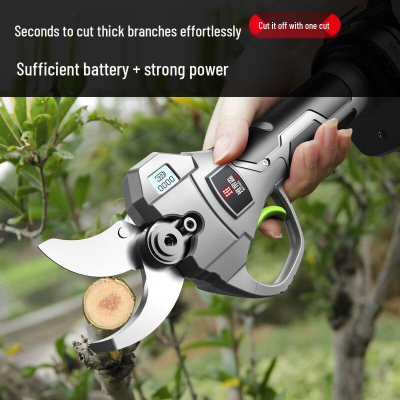Bandisen Cordless Electric Pruning Shears with Extension Rod CN Plug (adapter Included)
