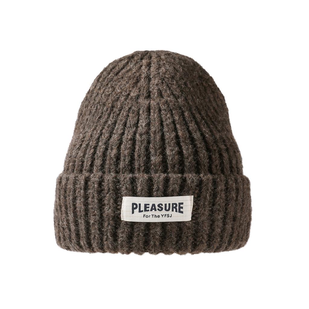 Coarse Needle Cloth Label Knitted Hat Women's Winter Outdoor Thickened Warm Cover Wool Hat