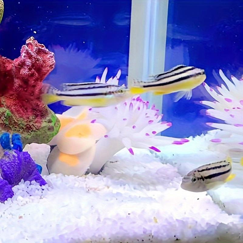 1Pc Aquarium White Flower Simulation Coral Combination, Fish Tank Landscaping Submarine Soft Coral Simulation Sea Tree Silicone