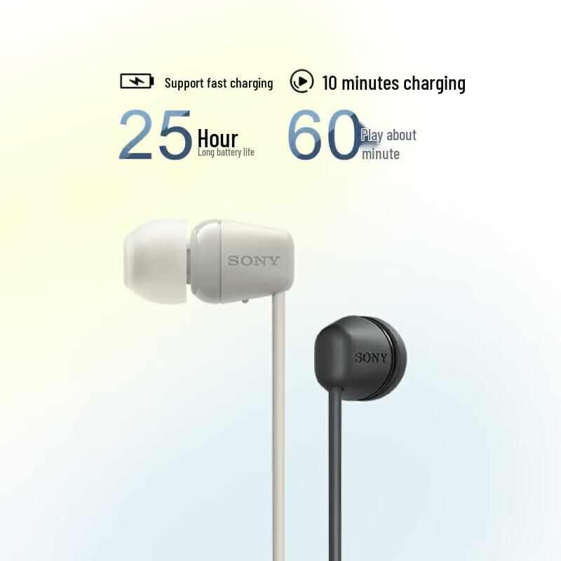 Sony WI-C100 Wireless Neckband Bluetooth Earphones