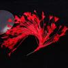 10-12" Natural Rooster Coque Tail Feather Mardi Gras Craft for Carnival Party Masquerade Stage Performances Costume Decoration
