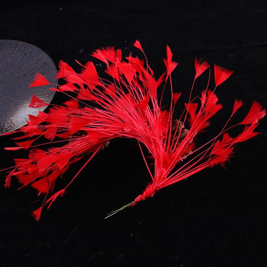10-12" Natural Rooster Coque Tail Feather Mardi Gras Craft for Carnival Party Masquerade Stage Performances Costume Decoration