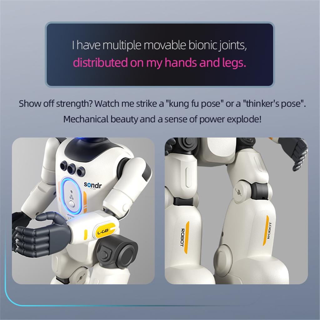 Smart Programming Humanoid Gesture Sensing Remote Control Robot 2.4G Joint Mobility Breathing Light Recording Function RC Robot