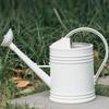 2L/4L Capacity Watering Can for Plant Watering Can for Indoor Outdoor Gardening Watering Pot with Ergonomic Handle