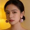 Sweet Heart Shaped Earrings Ear Stud Love Heart Earring Elegant Valentine's Day Earring  Party