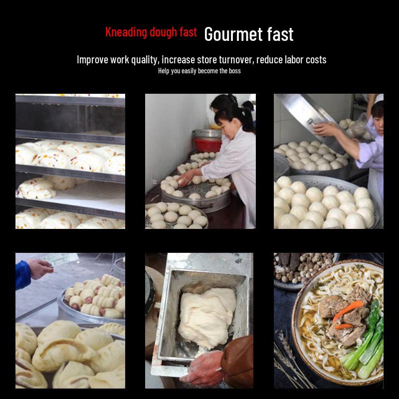 25 kg Commercial Dough & Flour Mixer