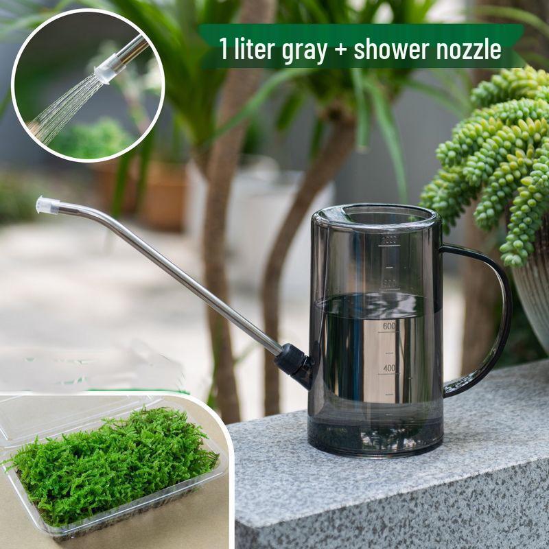 Stainless Steel Long Spout Watering Can for Indoor Pothos and Plant Care