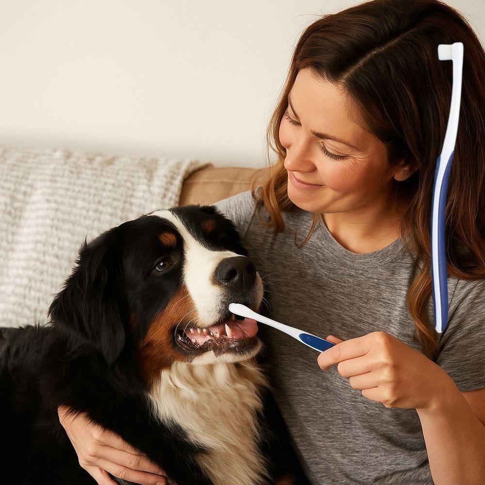 Soft Bristles Pet Toothbrush Long Handle Oral Cleaning Brush Soft Animal Toothbrush  Pet grooming
