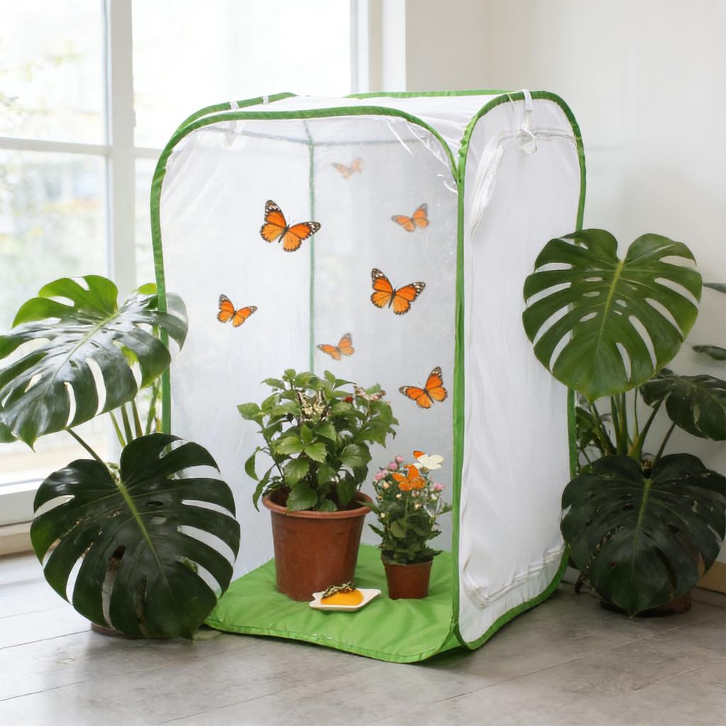 Foldable Insect Breeding And Observation Cage. Breathable Mesh Design Escape. Made Of Safe And Materials. Suitable For Small Such As