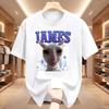 Üst giysisi – T-shirtler
