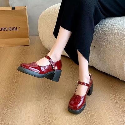 College Sweet Style Thick Heel Mary Jane Women's Shoes Spring and Autumn 2025 New French Heightening Platform Fashion Shoes