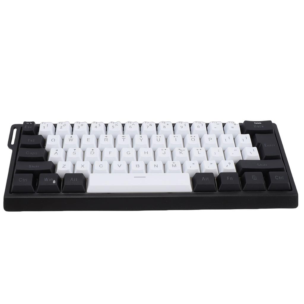 Wired Keyboard 60 Percent 61 Keys RGB Backlit Mechanical Feel Portable Computer Keyboard for Gaming Work