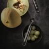ZWILLING Melon Fruit Scooper Dishwasher Safe ZWILLING Pro Japanese "Pro Baller" - Melon, Watermelon, - - [Official Retailer] 37160-015