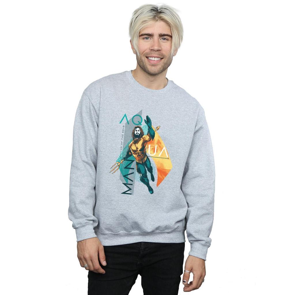 DC Comics Mens Aquaman Tropical Icon Sweatshirt