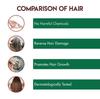 Jovees Herbal Argan Kernel Oil Shampoo 300ml For Hair Repair Strength & Frizz-Free All Hair Types