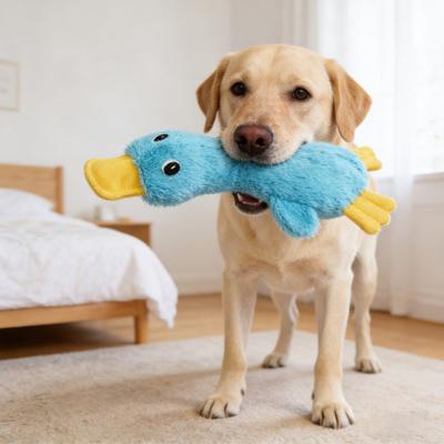 Hund Plüsch Ente Spielzeug Quietschendes Hundekau Spielzeug Weiches Gefülltes Enten Spielzeug Lindert Langeweile für Kleine bis Große Hunde Welpen Zahnen