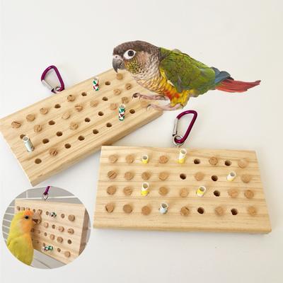 Parrot Bird Nibbling and Grinding Its Beak, Peony, Mysterious Phoenix, Small Sun Tearing, Training Puzzle Solving Toys