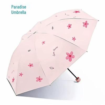 Accesorios – Paraguas