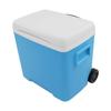 Outdoor Camping Cooler Box Multipurpose Portable Lasting Camping Incubator for Camping Fishing BBQ Picnic 30L