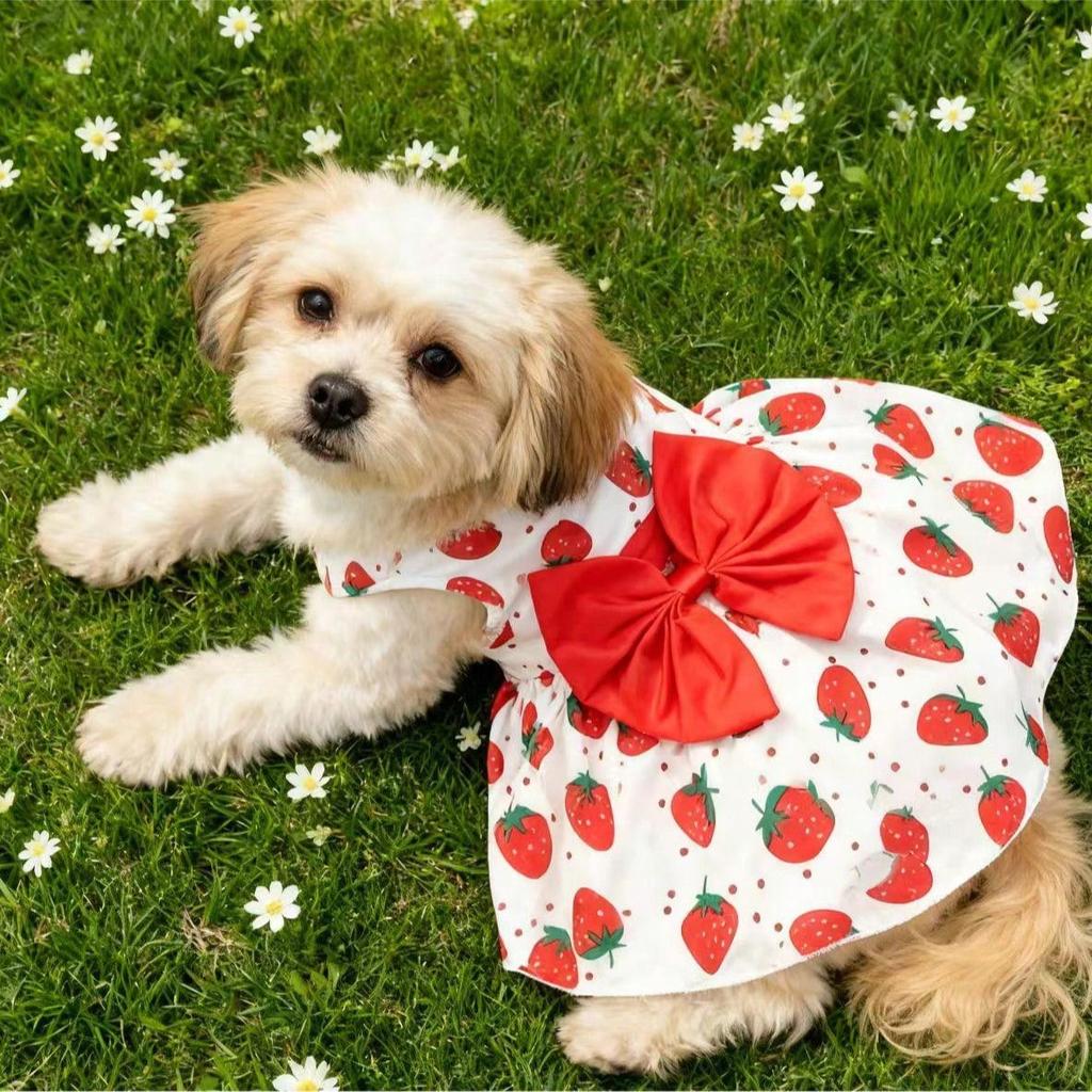 Dog Clothes, Happy Puppy, Dog Apparel, Dogs, Dog Costume, Cat Clothes, Chihuahua Dog Clothes, Pet Dress, Dog Clothes, Cat Dress, Princess Dress