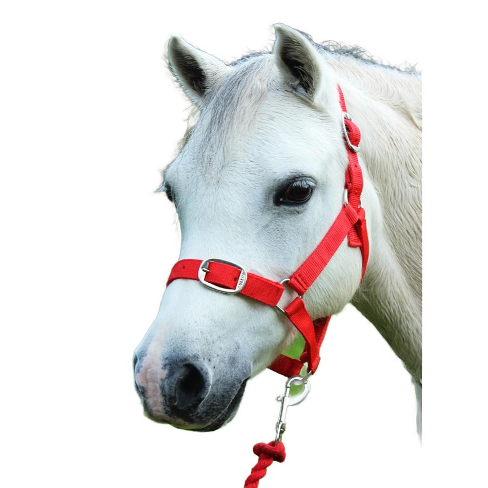 Gallop Horse Headcollar and Leadrope Set