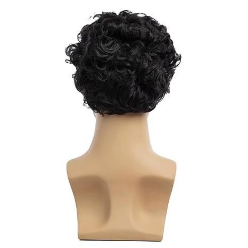 Men Synthetic Short Black Wigs with Bangs for Man Curly Hair Fluffy Daily Cosplay Hair Heat Resistant Breathable Male Wig