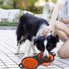 2-in-1 Design Dog Dual Bowls with Buckle Pet Food Feeder Collapsible Dog Bowls  Pet Feeding