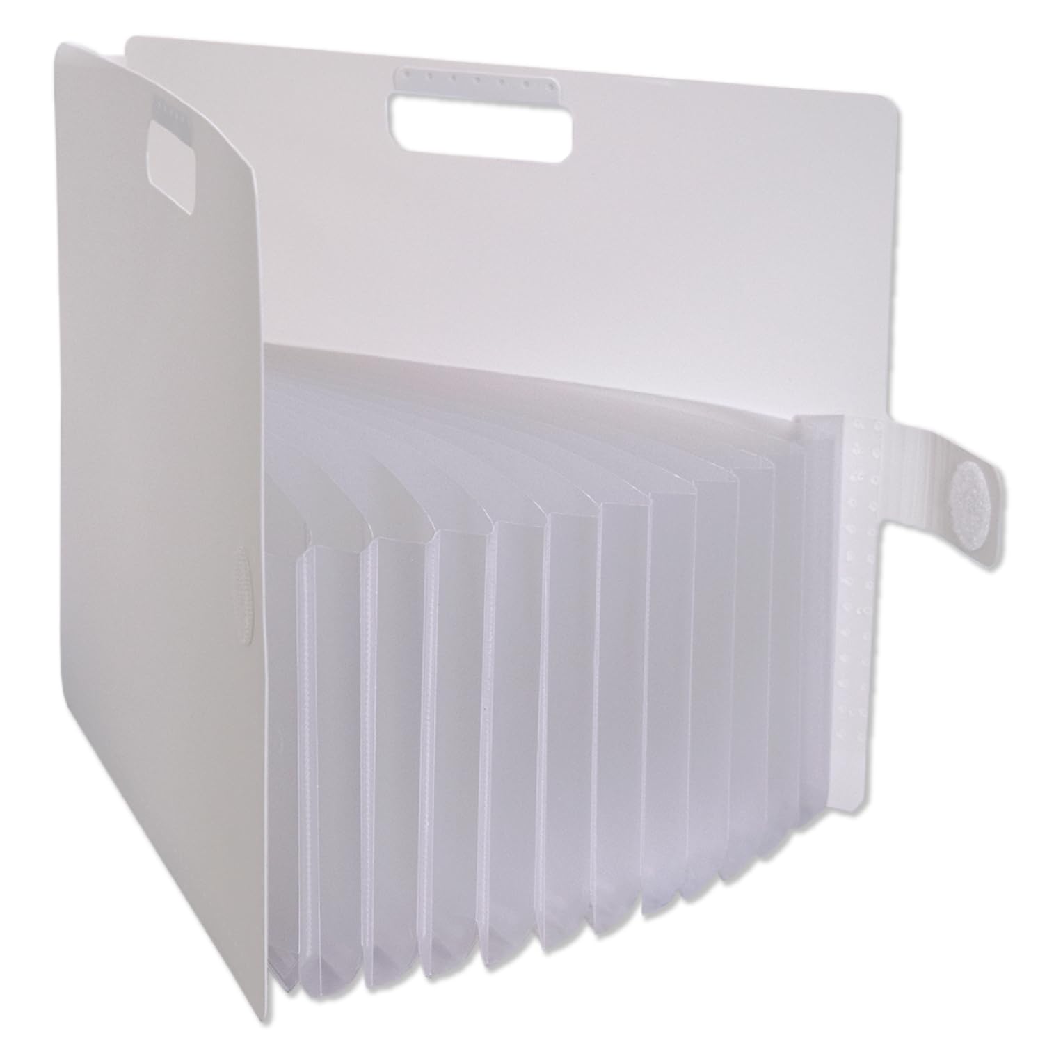 

Sakura Crepas Документ Печать Хранения Чехол Маленький Sesame Файл A4 Белый TF-A4#50 белый