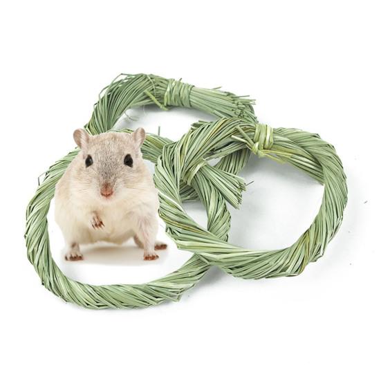 Yousheng 5Pcs/Set Pet Chew Grass Bite Resistant Scratch-resistant Bur-free Lightweight Natural Relieve Boredom Grinding Teeth Rabbit Molar Water Grass