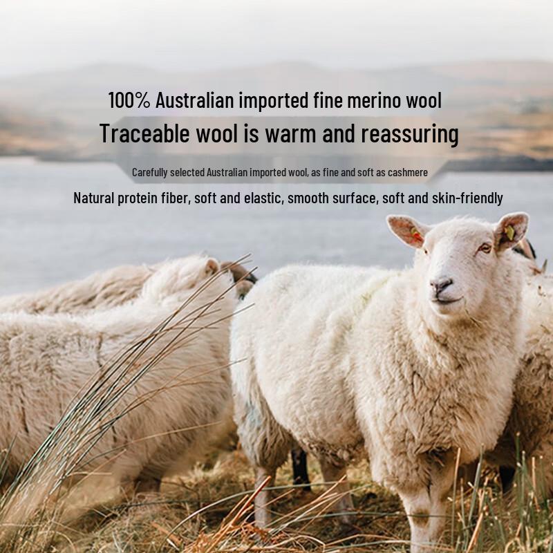 LUOLAI Home Textiles Class A Antibacterial 100% Wool Lamb Fleece Winter Quilt