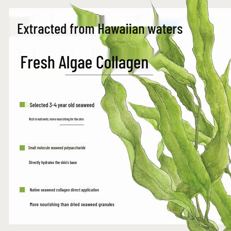 Xunhuiji Seaweed Hydrating Black Sheet Mask