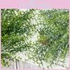 Simulated Green Plant Ornament For Photography Props And Indoor Spaces