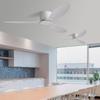 Minimalist Ceiling Fan Light for Living Room, Dining Room & Bedroom