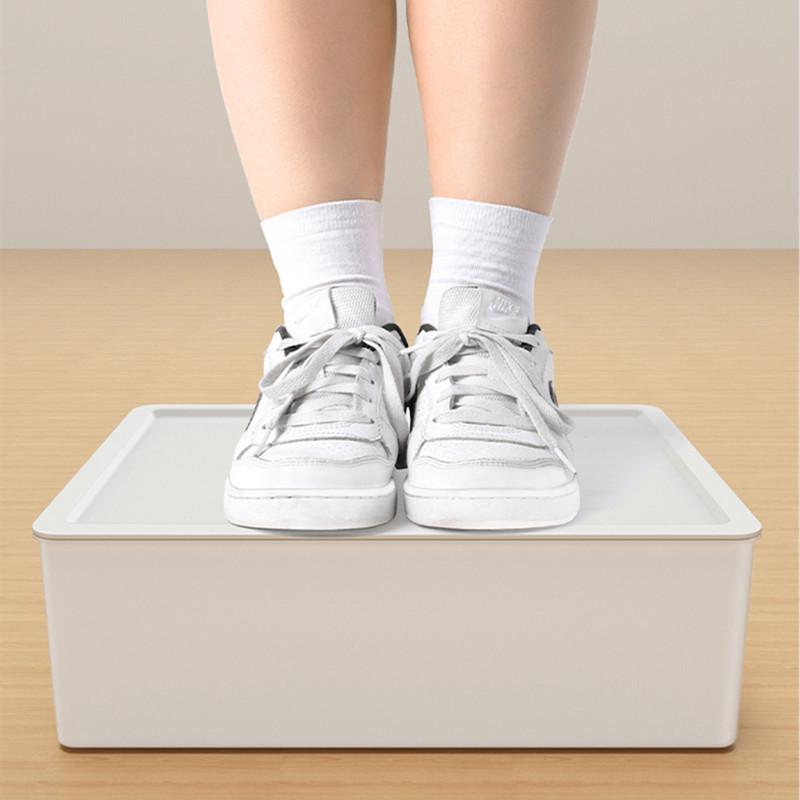 Thickened Underwear & Sock Organizer: Three-in-One Lidded Storage Box