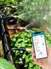 Smart WiFi Timer: Automatic Remote-ControlFlower Watering Kit with Adjustable Sprinkler Head