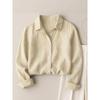 Women's French Casual Cotton Linen Long Sleeve Shirt - Spring/Autumn Collection