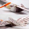 E1904 EPP RC Airplane Eagle Plane 1430mm Electric Powered Aircraft Unassembled PNP Version DIY