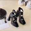 Sommer Neue Vielseitige Mode Offene Zehen High Heel Sandalen Damen Cutout Reißverschluss Plateau Fischmaul Schuhe