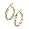 Shine hot-selling new simple earrings with diamonds, personalized temperament earrings, high-end design jewelry