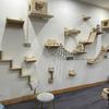 Cat Climbing Wall Type Assortment Cat Tree Wall Mounted Cat Hammock Sisal Four Steps Cat Stairs Climbing Cat Wall Hanging