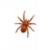 Decoration Spider Refrigerator Magnet Realistic Halloween Spider Magnet  Refrigerator Decoration