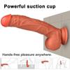 Realistic Silicone Dildo Big Dick Sex Toys for Women Hardness Comfort Dildos Adult Penis 18+