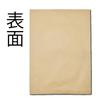 King Corporation Storage A3 with 10 Kraft KA3KHH120 Envelopes, Type, Size, Eyelets, Pack, Paper,