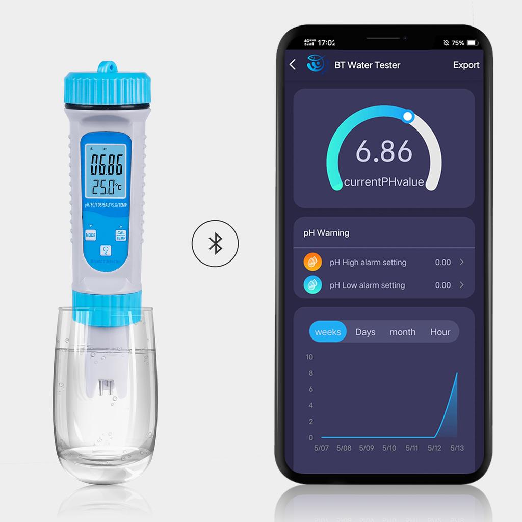 Smart BT 6 in 1 Ph Tester Acqua della piscina PH EC TDS SALT SG Tester di temperatura Qualità dell'acqua della piscina