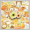 50 Cute Hand-Painted Orange Waterproof Sticker Set: Original Salt-Style for Journals & Stationery.